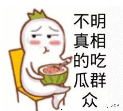 吃瓜群众311,网络红人的崛起之路