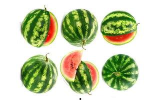 瑞豹吃瓜,揭秘娱乐圈的甜蜜与苦涩