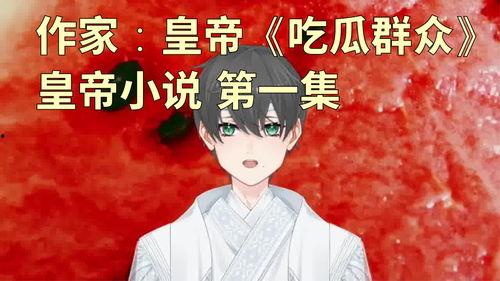 吃瓜宾客的小说