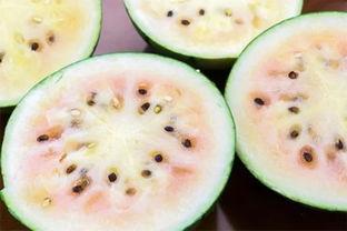 吃瓜群众吃西瓜还是瓜子,西瓜与瓜子的较量