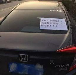 思域吃瓜的视频