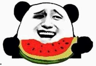 吃瓜群众专业吃瓜20年,揭秘娱乐圈那些事儿