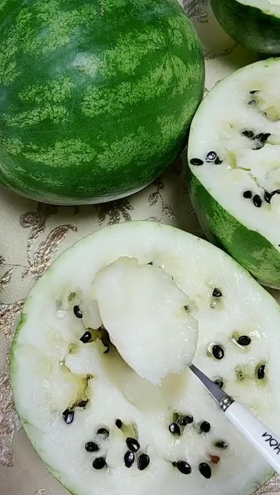 吃瓜东北王怡晴