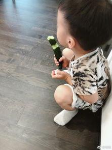 吴所谓吃瓜,揭秘娱乐圈幕后真相