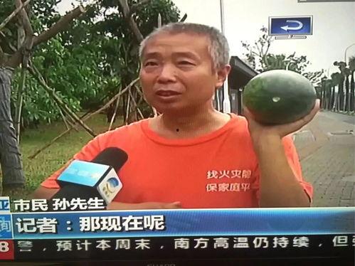 热门事件每日吃瓜,揭秘热门事件背后的瓜皮真相