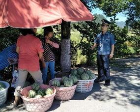 盛京吃瓜群众,吃瓜群众的欢乐盛宴