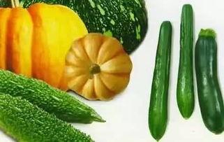 unsd吃瓜,一场国际组织内的“瓜田”风云  第3张