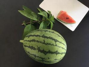 带头人吃瓜,揭秘带头人吃瓜背后的故事  第2张